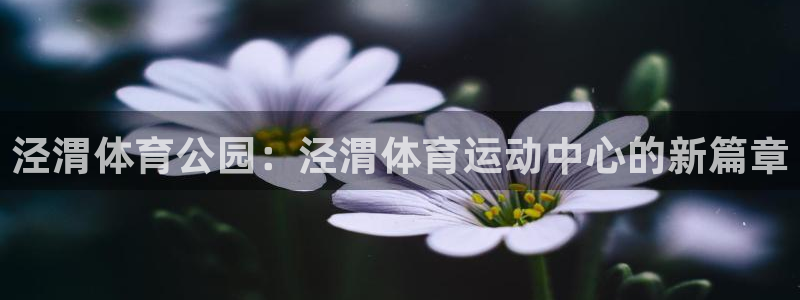 泾渭体育公园：泾渭体育运动中心的新篇章